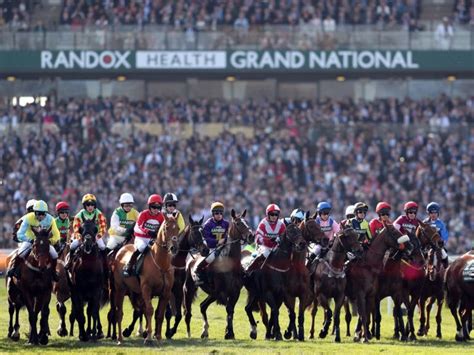 grand national 2023 betting